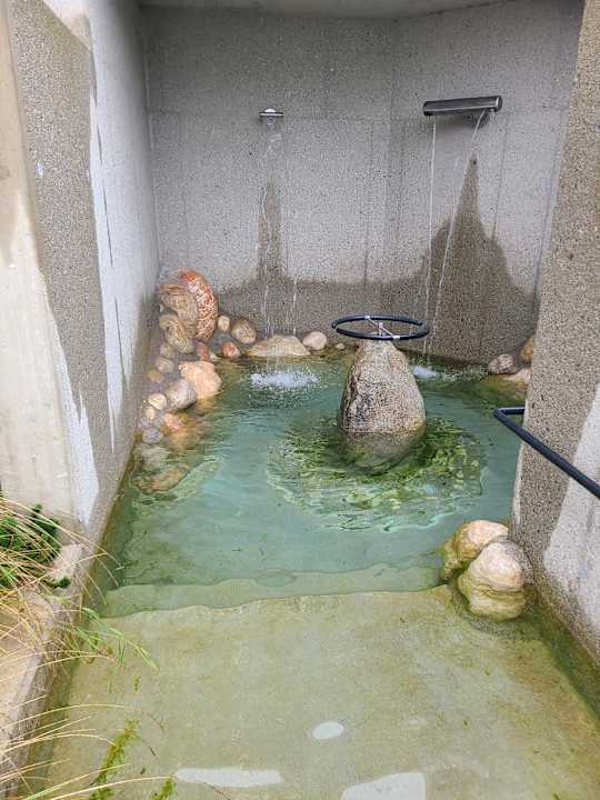 Pool Der Böglerhof - pure nature spa resort