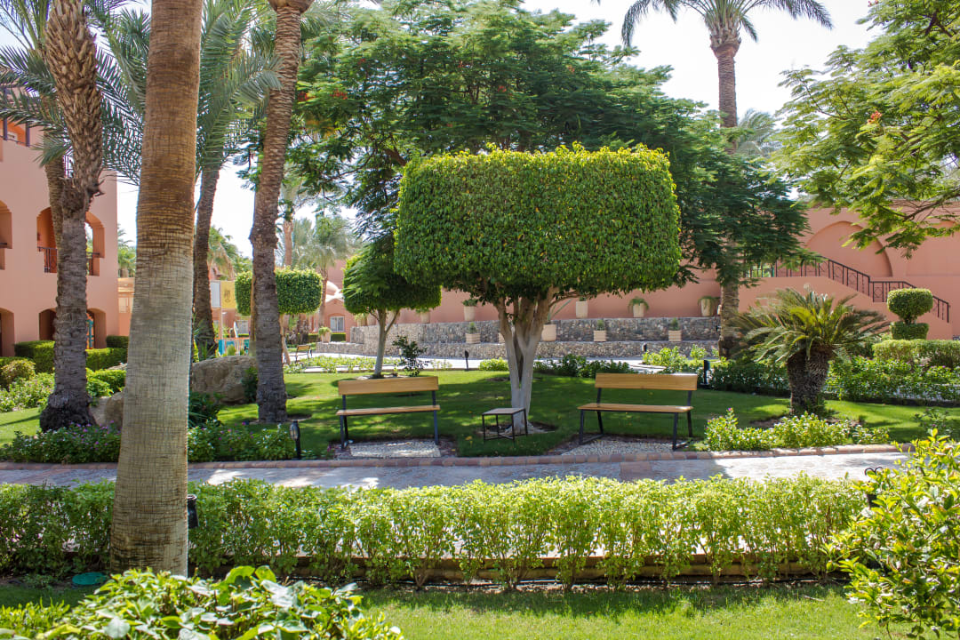 Gartenanlage Jaz Makadi Oasis Resort