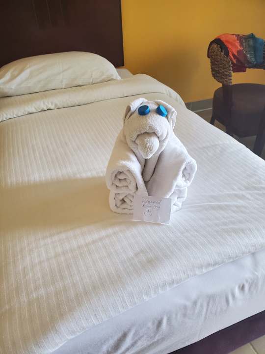 Zimmer Coral Sun Beach