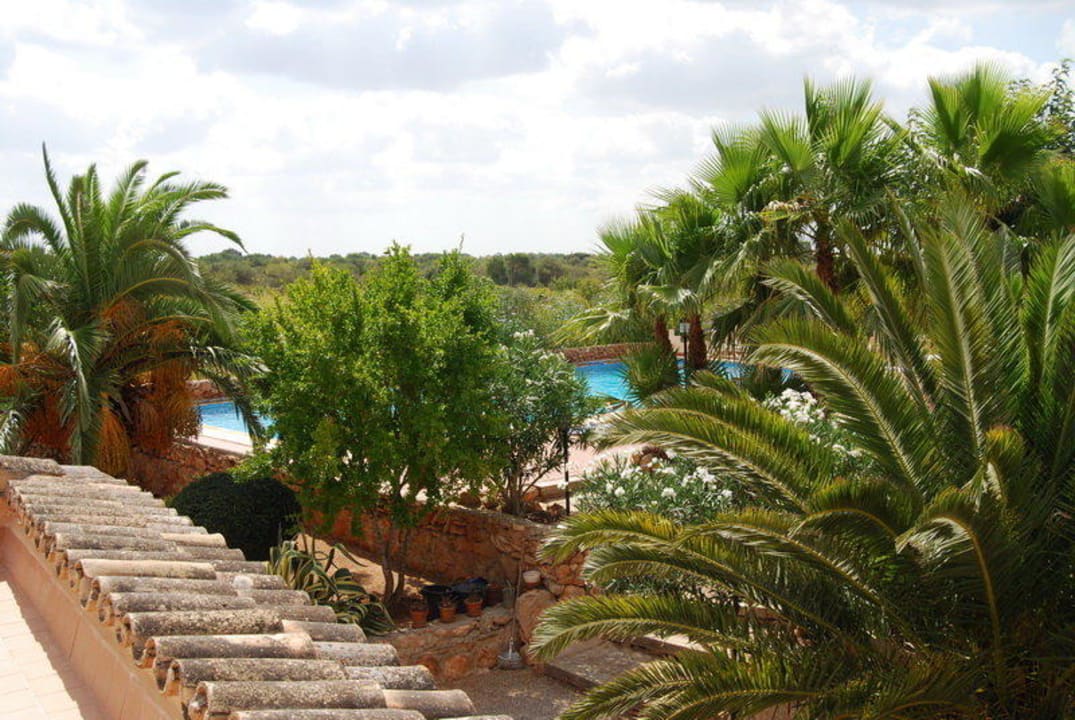 Ausblick von den Terrassen auf den Pool Finca Son Guardiola