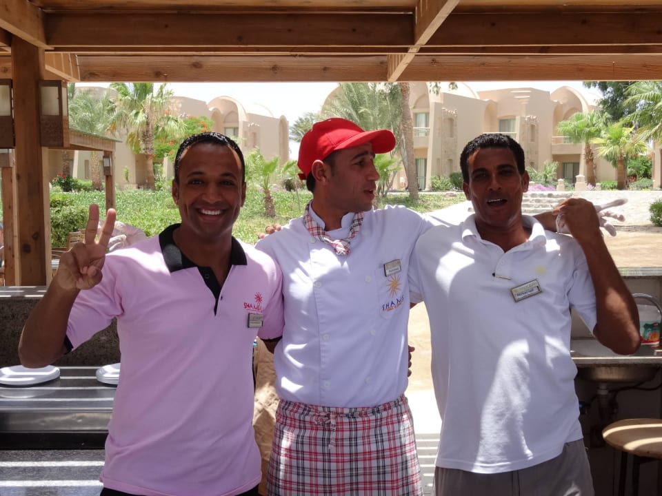 Nur Freunde sind ein gutes Team Shams Alam Beach Resort