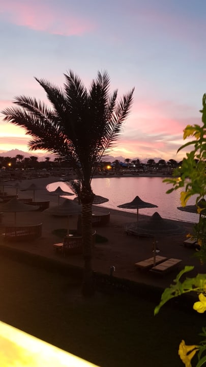 Ausblick Desert Rose