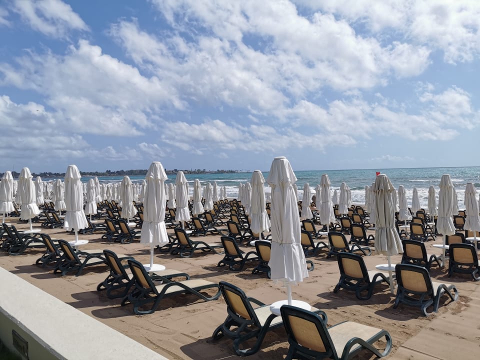 Strand Side Star Elegance