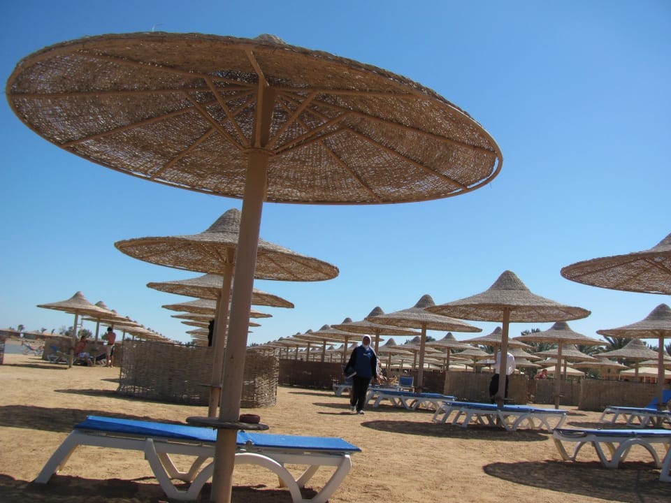 Лежаки и зонтики Stella Beach Resort & Spa Makadi Bay