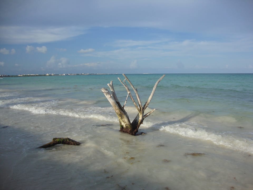 Hotel Catalonia Playa Maroma Catalonia Playa Maroma