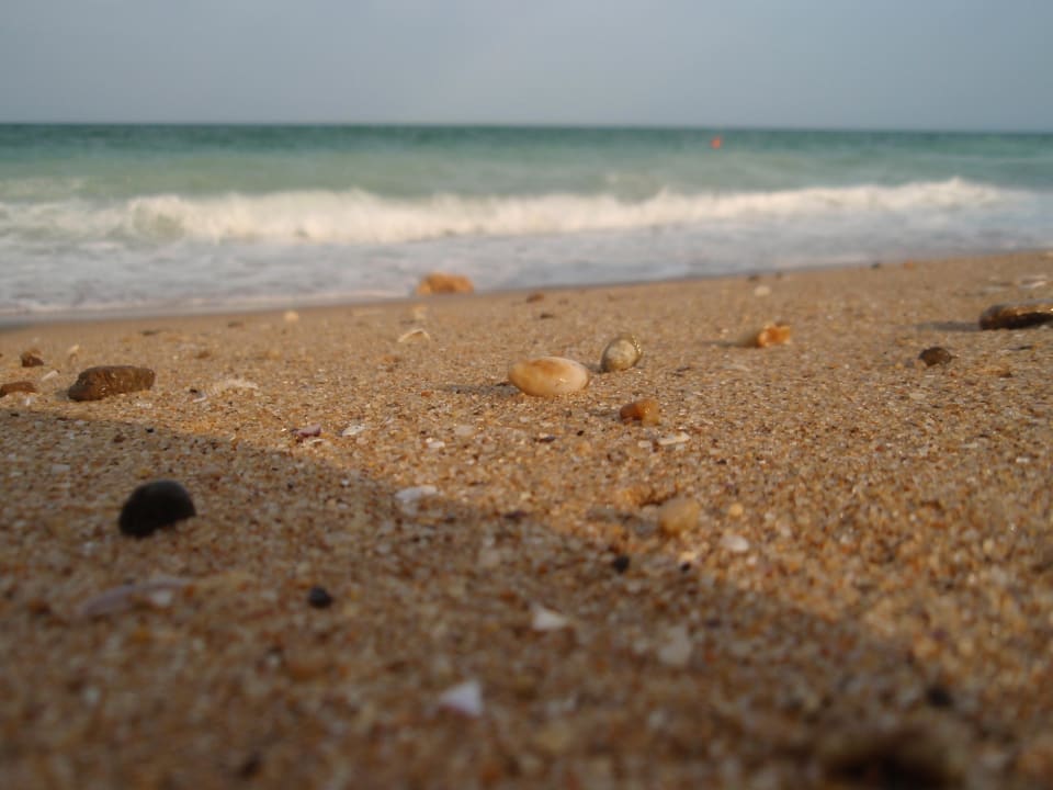 Meer mit teilweise hohen Wellen GRIFID Vistamar