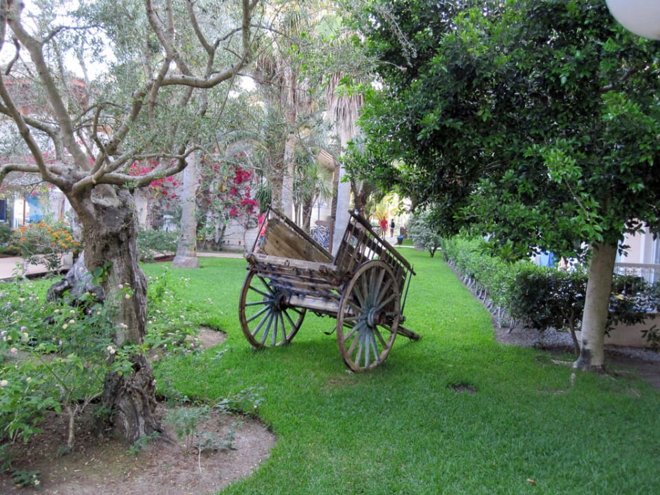 Vor unserer Unterkunft Playa Garden Selection Hotel & Spa