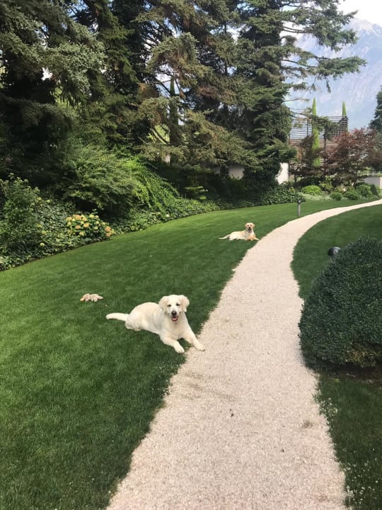 Sonstiges Giardino Marling