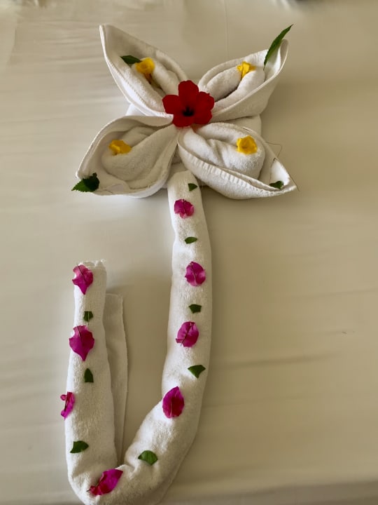 Zimmer Malikia Resort Abu Dabbab