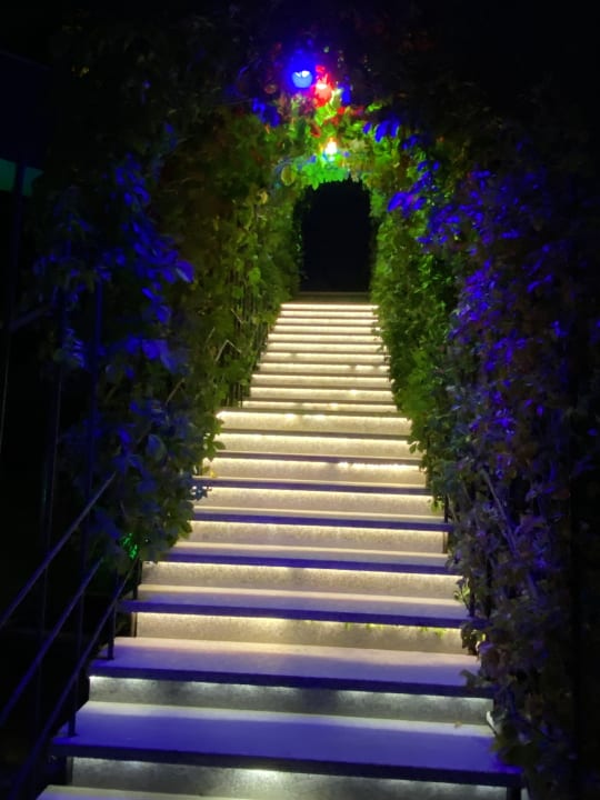 Sonstiges Dream World Palace Hotel