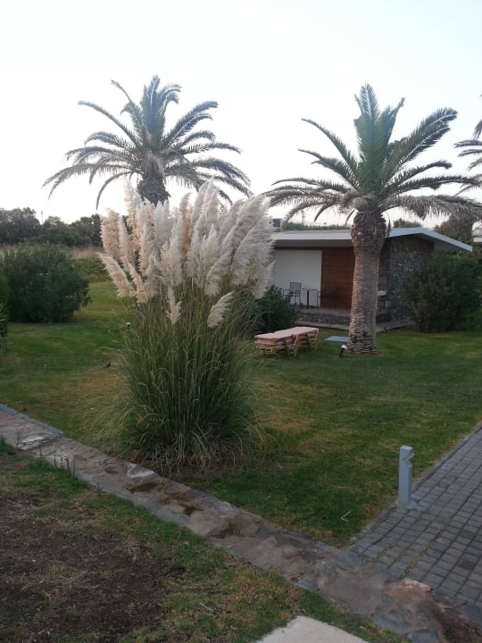 Gras Civitel Creta Beach