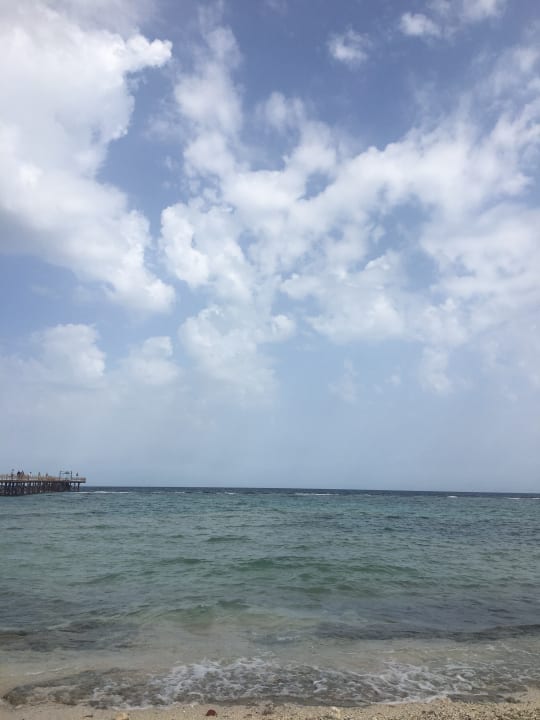 Strand Pickalbatros Sea World Resort - Marsa Alam