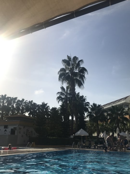Gartenanlage Hane Family Resort