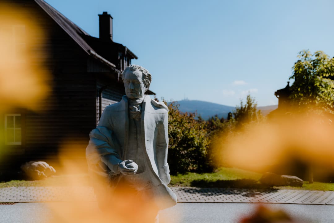 Ausblick Torfhaus Harzresort