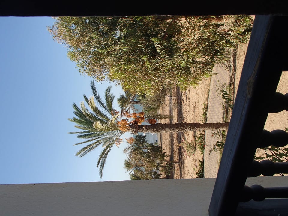 Aussicht aus unserem Zimmer Hotel El Mouradi Djerba Menzel