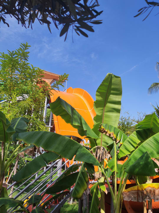 Sport & Freizeit Saturn Palace Resort Hotel