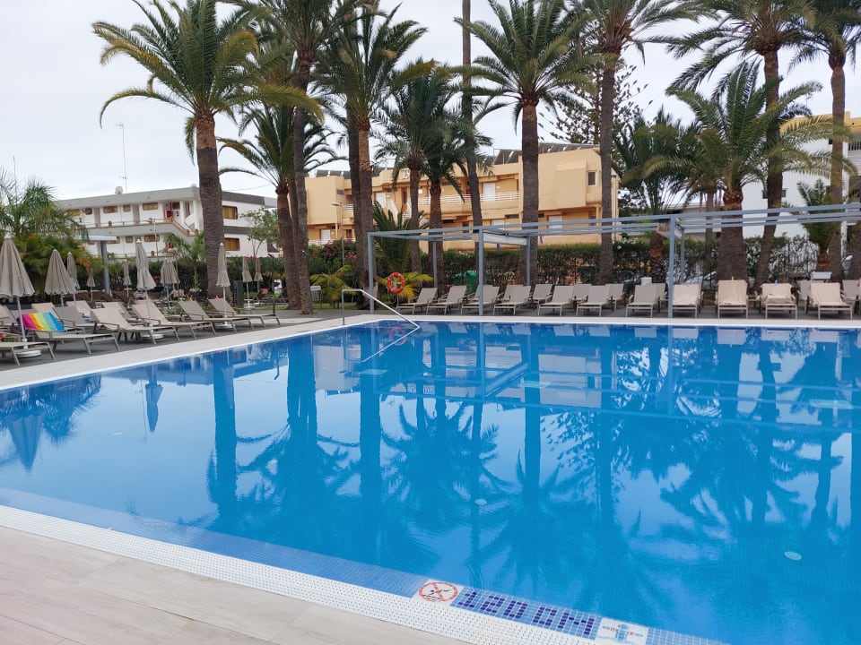 Pool Hotel Riu Palace Palmeras