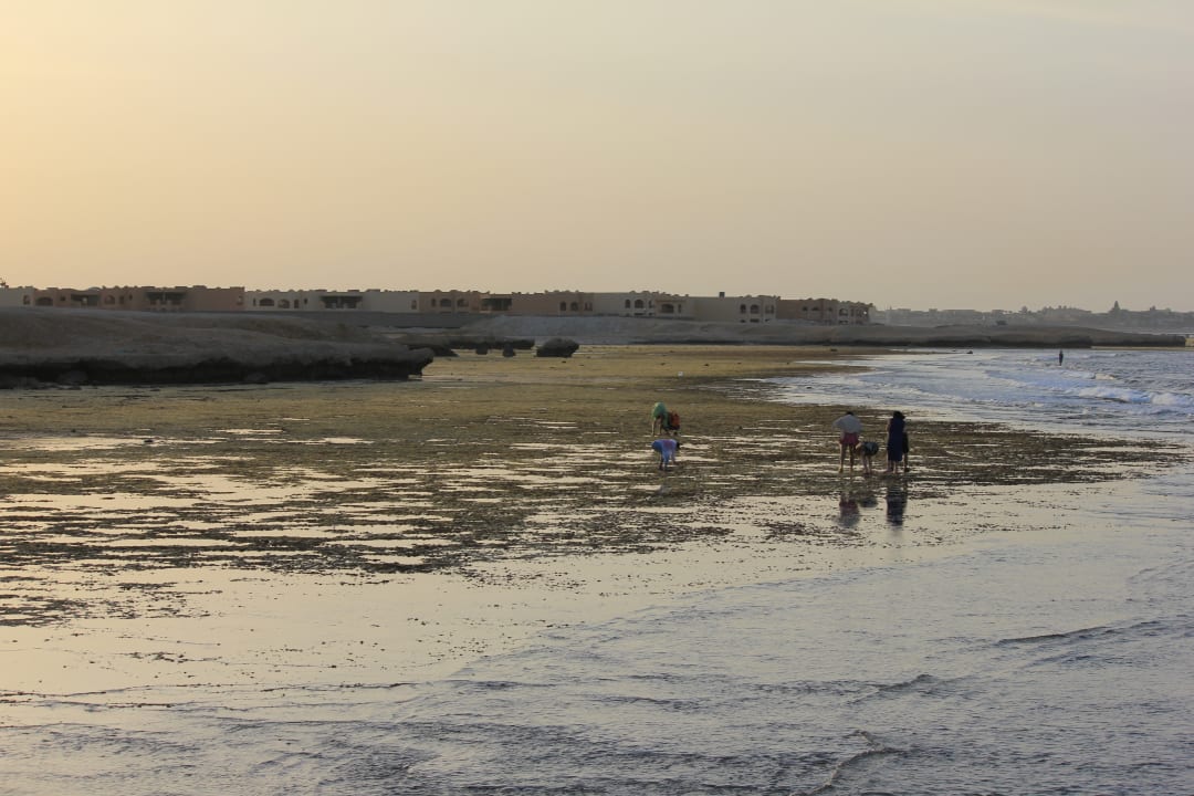 Strand Serenity Alpha Beach