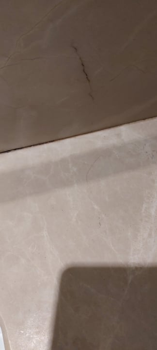 Zimmer Seashell Vega