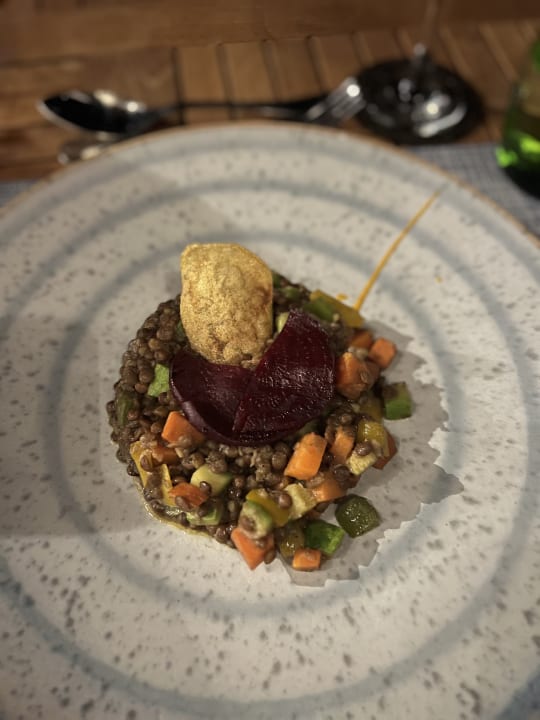 Gastro JAZ Elite Amara