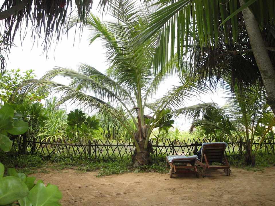 Liegen am Strand Hotel Club Bentota