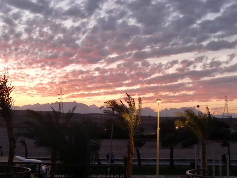 Vor dem Hotel Sonnenuntergang Pickalbatros Palace Resort