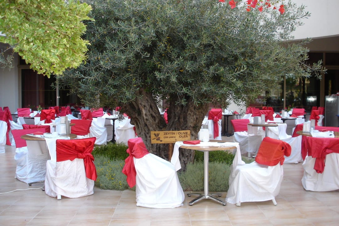 Türkischer Abend Port Side Resort Hotel