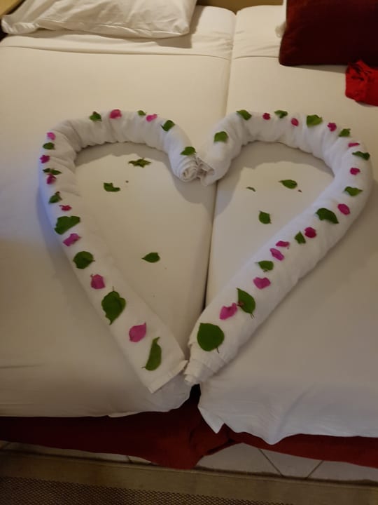 Zimmer Jaz Makadi Oasis Resort