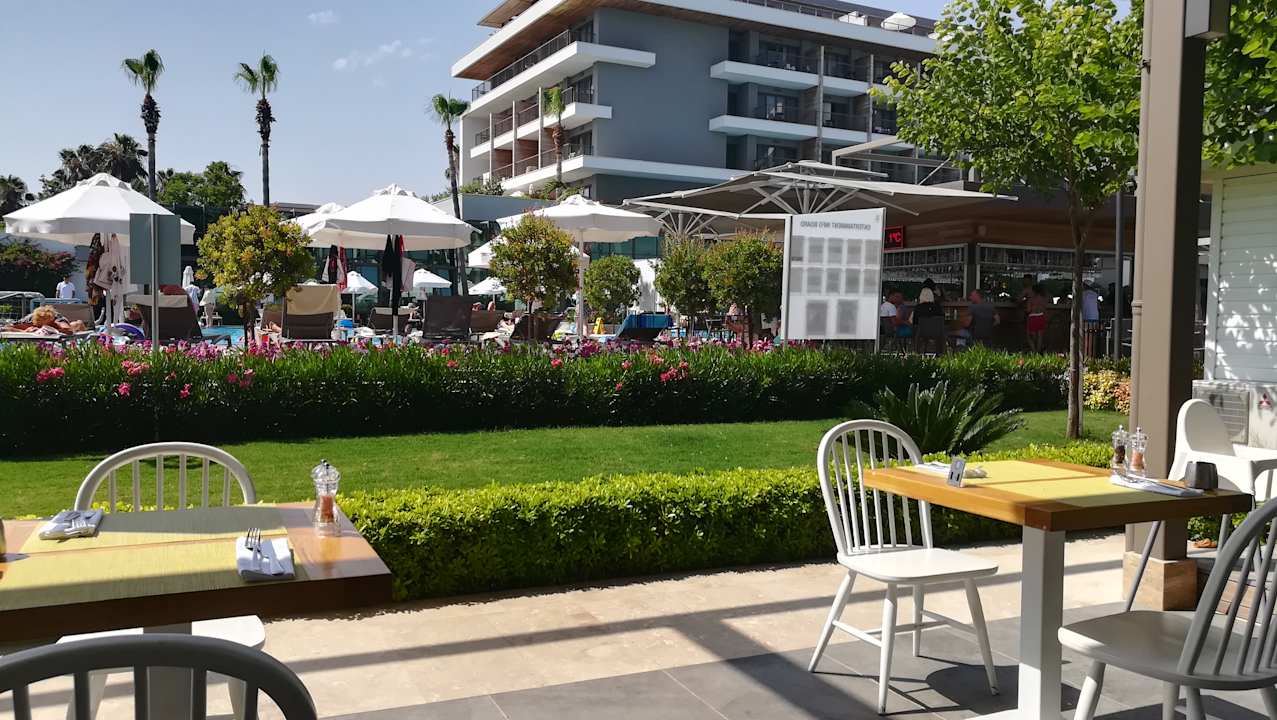 Gastro Acanthus Cennet Barut Collection