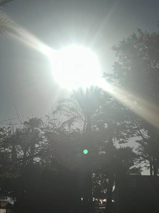 Ausblick The Grand Palace - Adults only