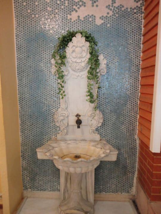 Sentido PALOMA Perissia