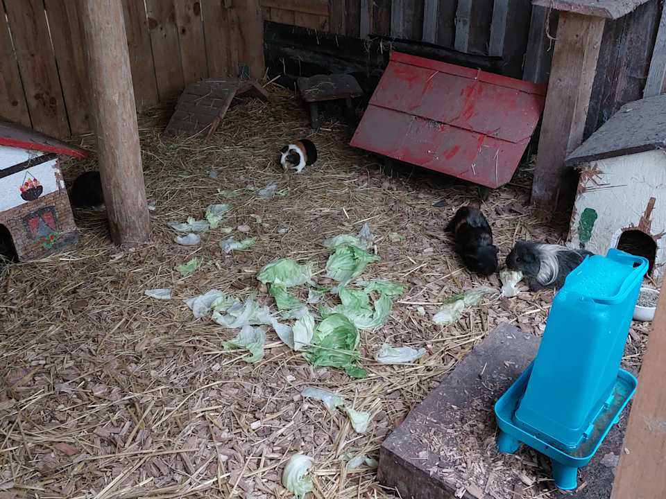 Gartenanlage Ferienhof Keks und Krümel