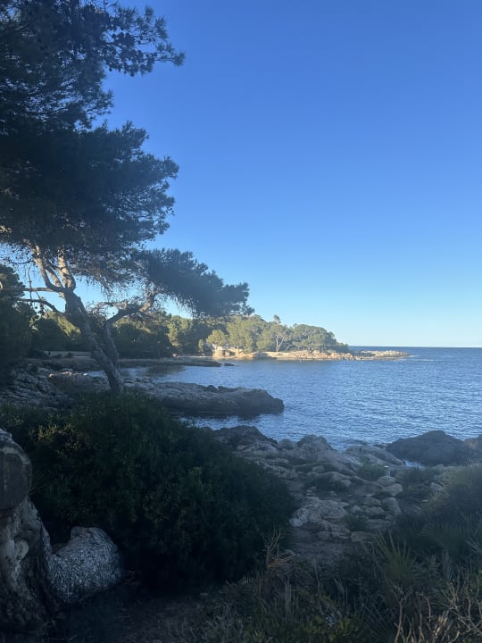 Ausblick Iberostar Waves Pinos Park