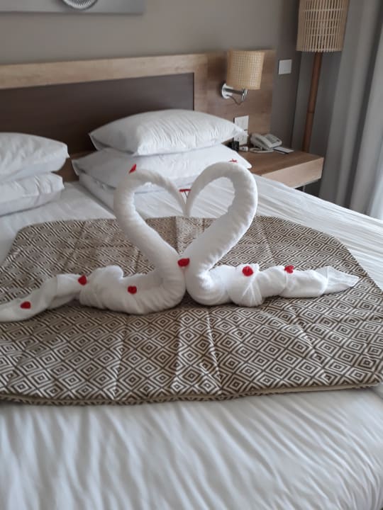 Zimmer Steigenberger Resort Ras Soma