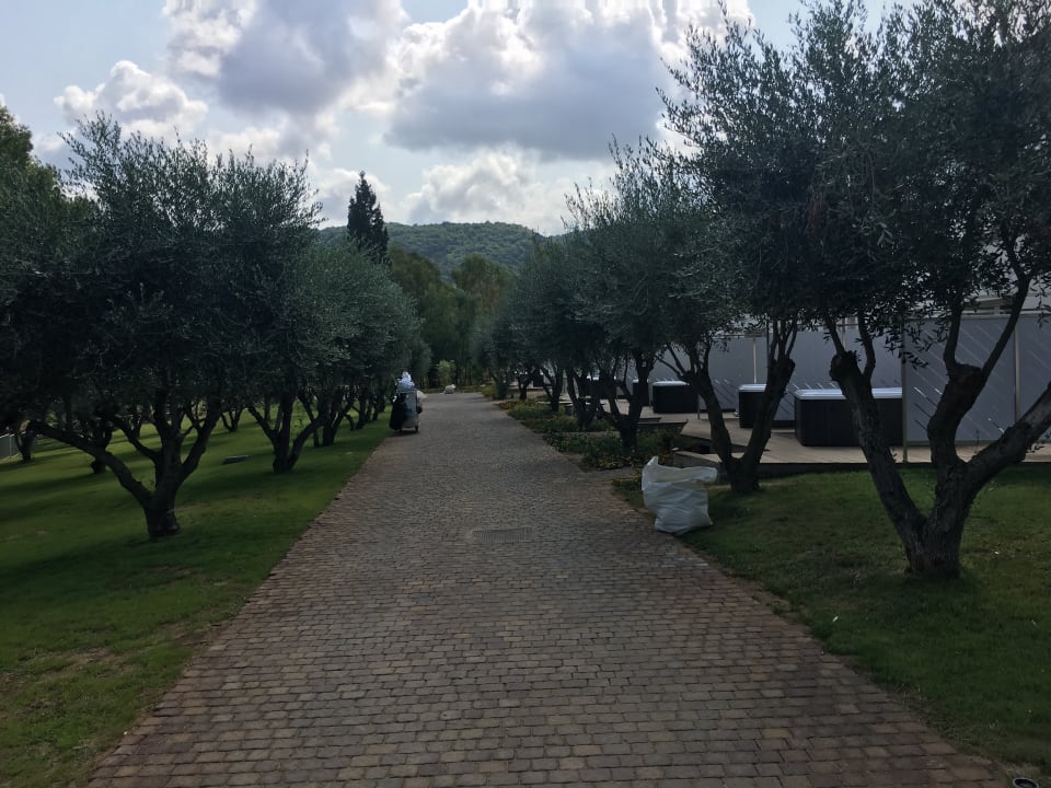 Gartenanlage TUI BLUE Tropea