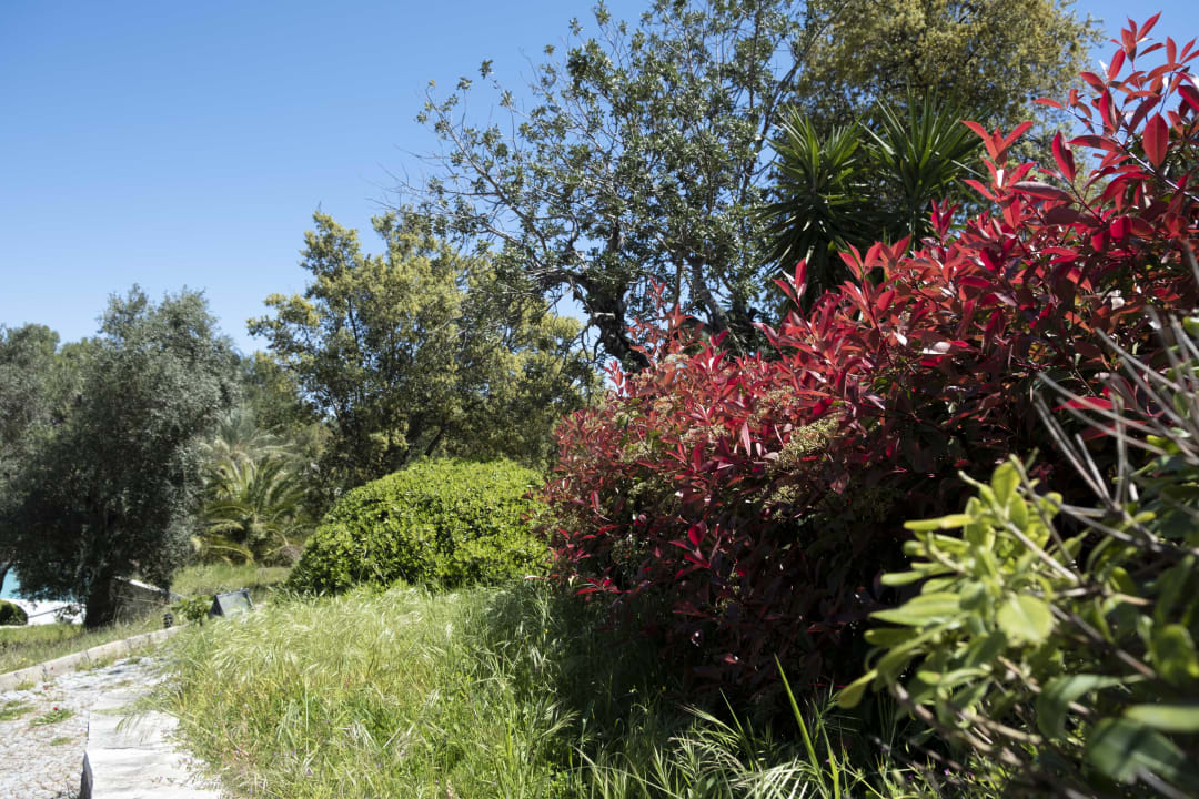 Gartenanlage X Life Hotel Sarıgerme