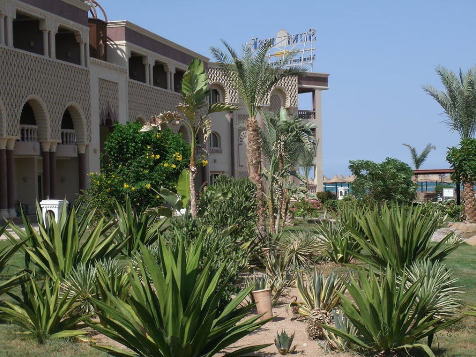 Территория Sentido Mamlouk Palace Resort