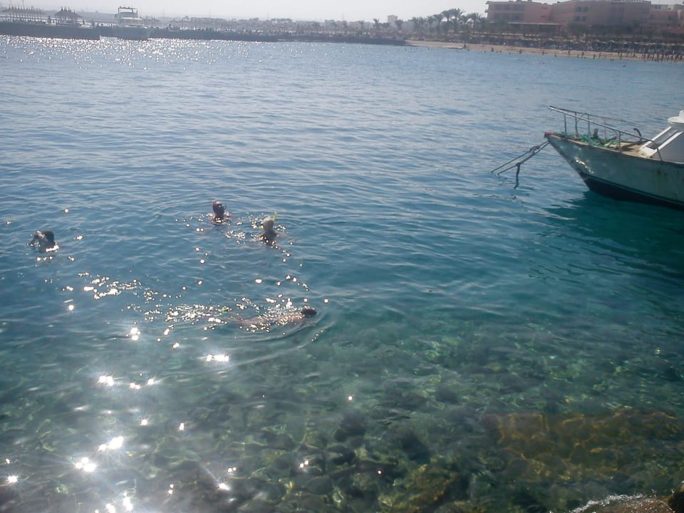 Вдали песчаный вход в море, но тут рыбок больше Pickalbatros Aqua Vista Resort - Hurghada