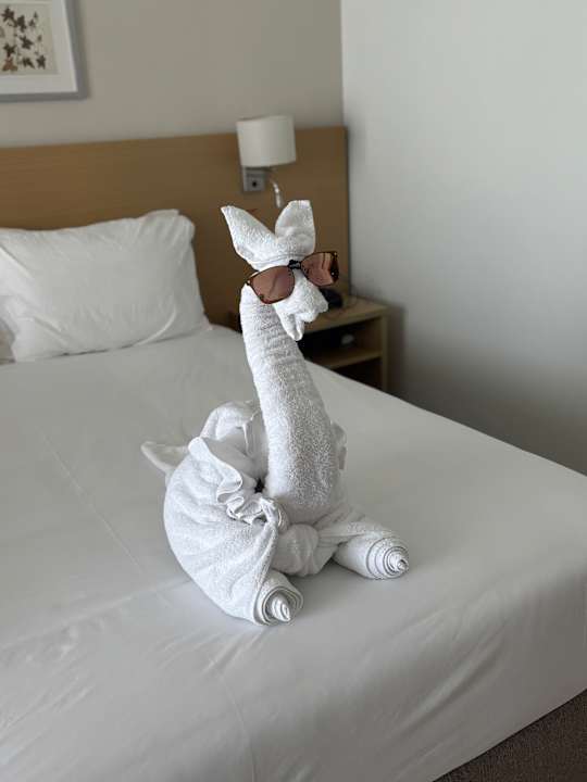 Zimmer JAZ Elite Asteria