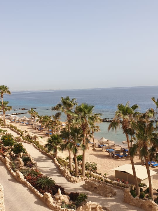 Strand Pickalbatros Citadel Resort