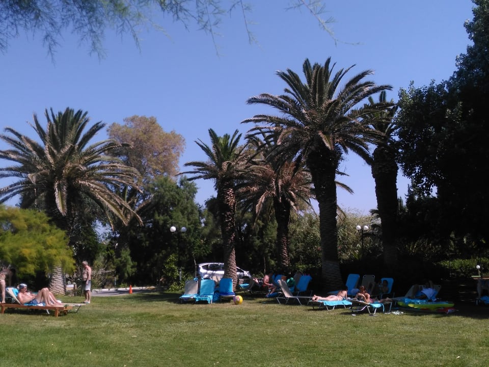 Gartenanlage Apollonia Beach Resort & Spa