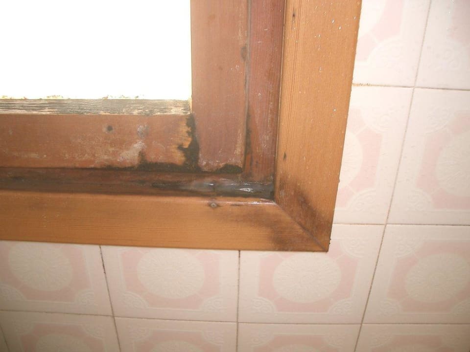 Fenster in der Duschkabine Hotel ALEXANDER