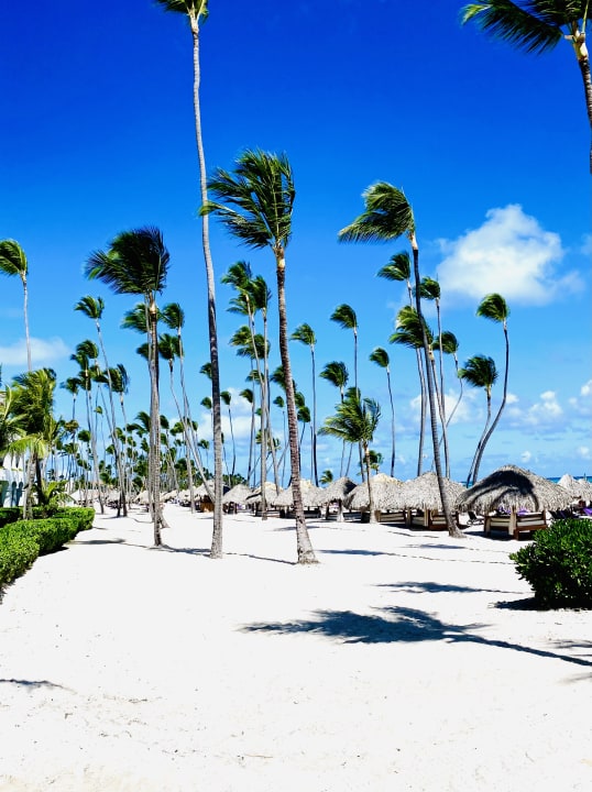 Strand Meliá Caribe Beach Resort-All Inclusive