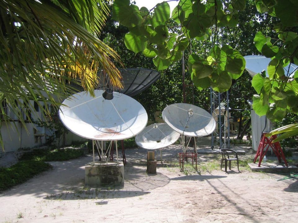 Notwendig, aber Eri Maldives