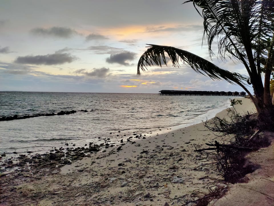 Strand Filitheyo Island Resort