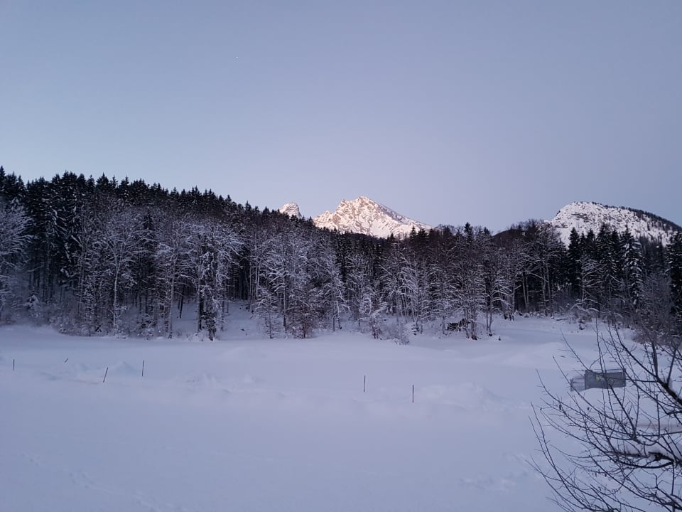 Ausblick Alm- & Wellnesshotel Alpenhof