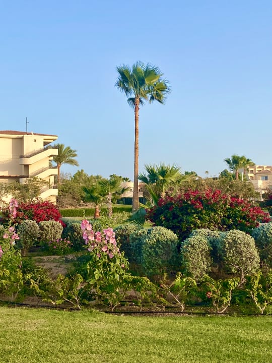 Gartenanlage Cleopatra Luxury Resort Makadi Bay