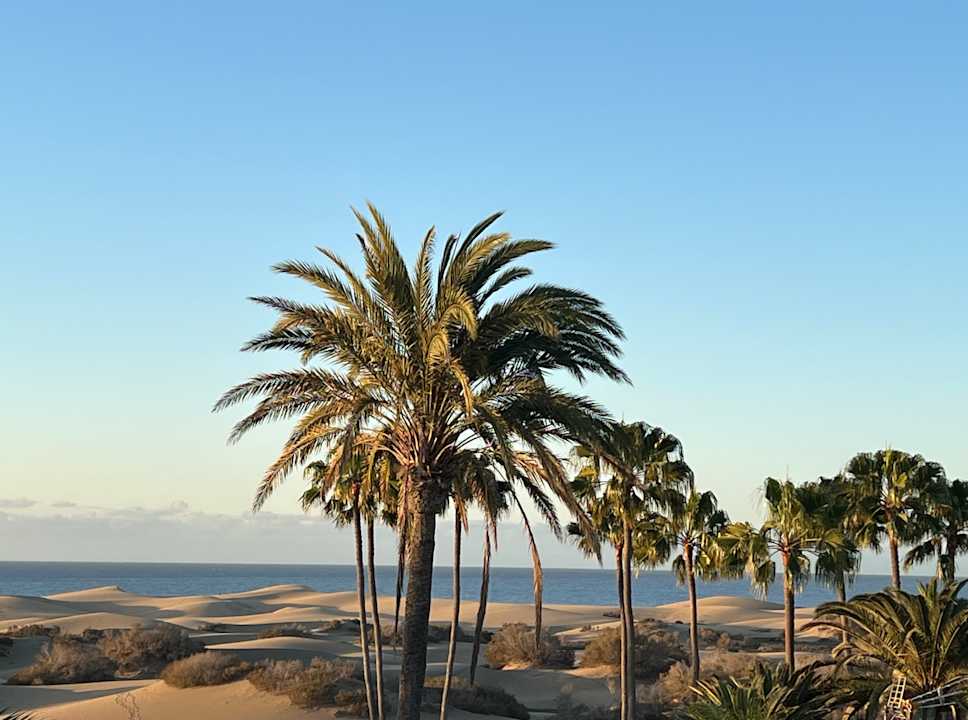 Ausblick Hotel Riu Palace Maspalomas Adults Only