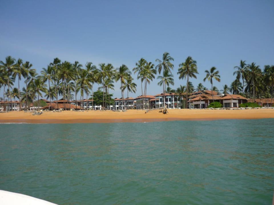 Blick zum Strand vom Meer aus Club Hotel Dolphin