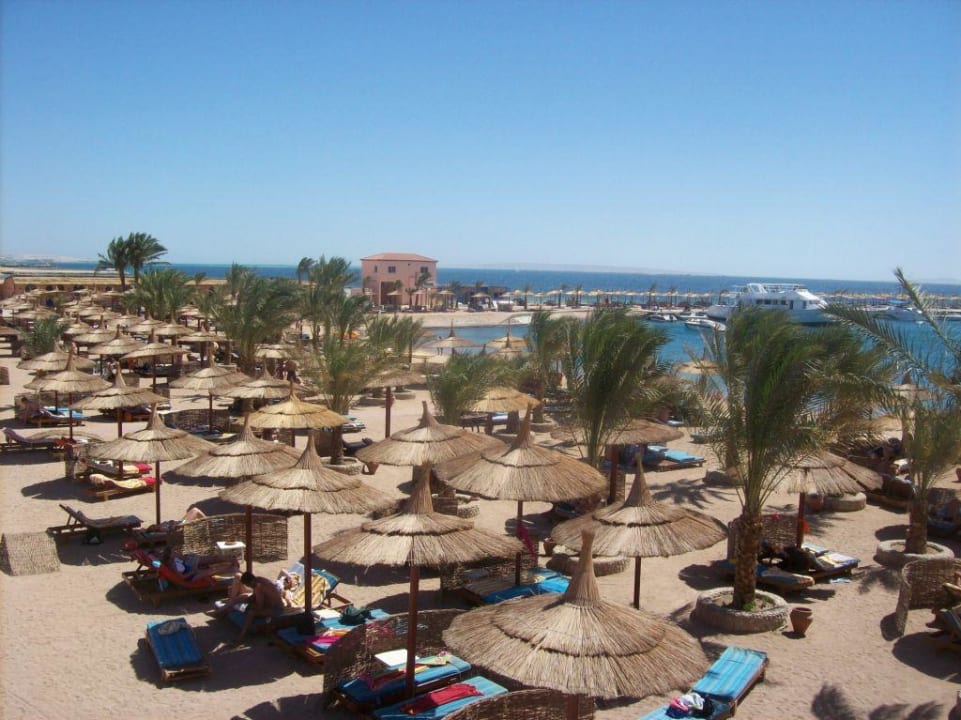 Strand vom Beach Albatros Beach Albatros Resort